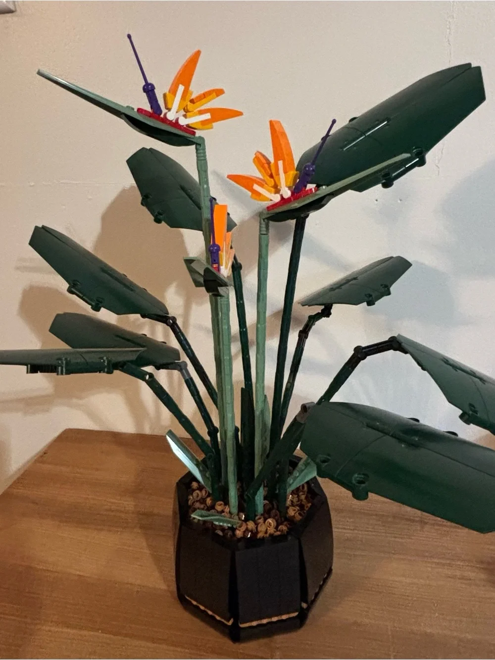 LEGO Botanicals Bird of Paradise 10289 Retired Set
